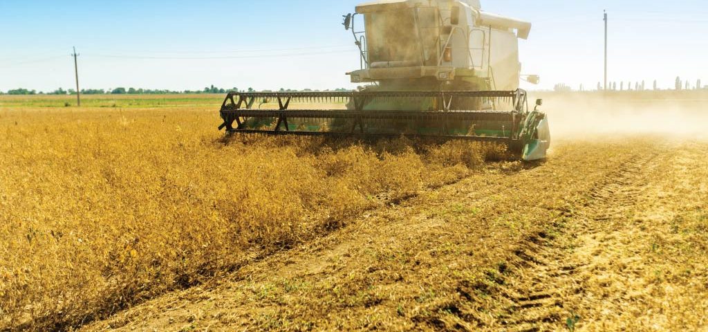 south-african-summer-crop-production