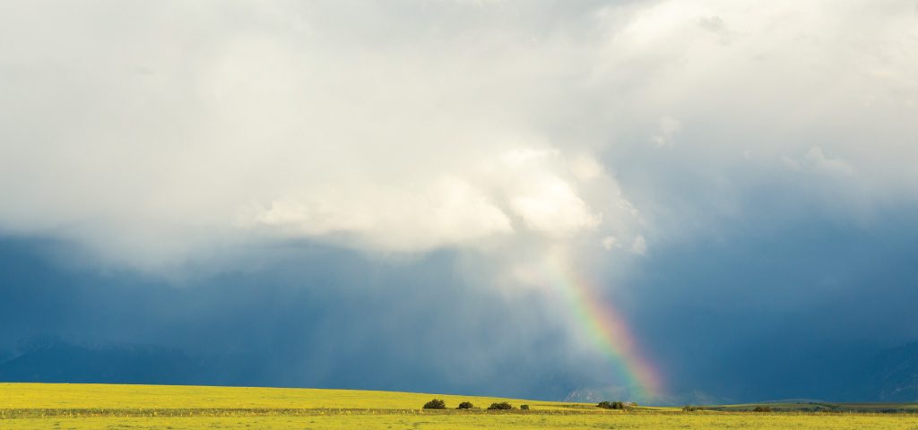 AgriLimpopo-Chances-of-an-El-Niño-Weather-Event