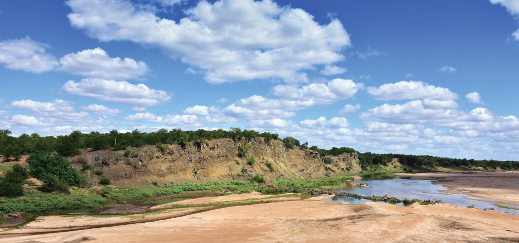 AgriLimpopo-Summer-Crop