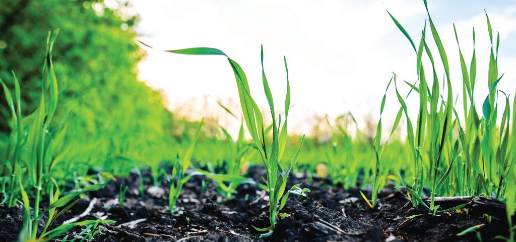 AgriLimpopo-Global-Agriculture-Production